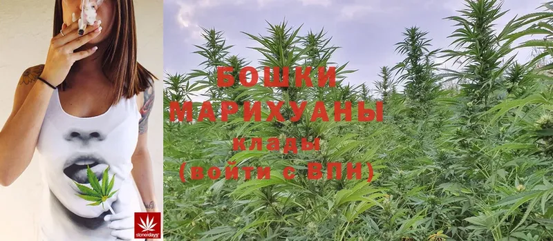 Шишки марихуана Ganja  купить закладку  Александровск-Сахалинский 